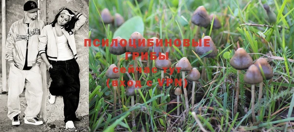 кокс Ельня