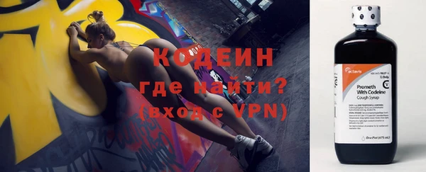 кокс Ельня