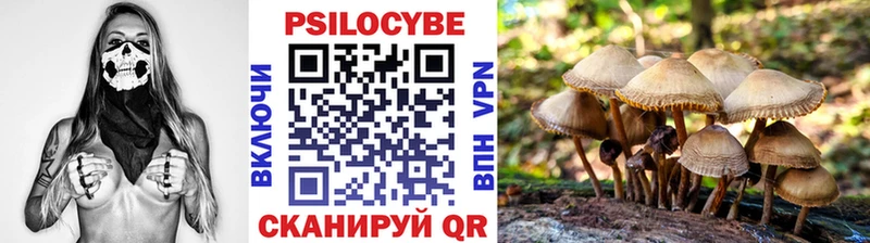 Галлюциногенные грибы мицелий  наркошоп  нарко площадка наркотические препараты  Ряжск 
